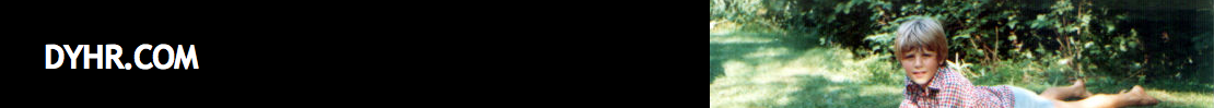 dyhr.com logo
